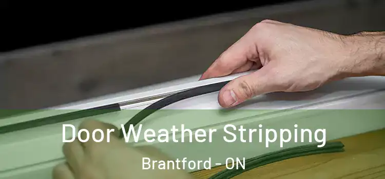 Door Weather Stripping Brantford - ON