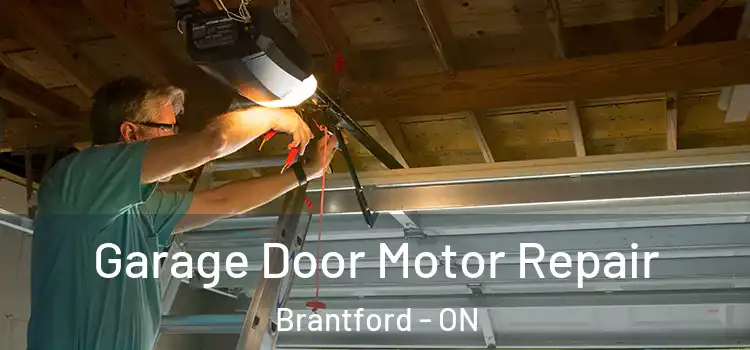  Garage Door Motor Repair Brantford - ON