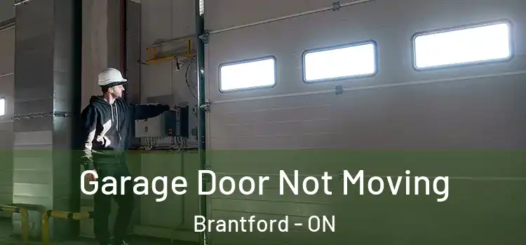  Garage Door Not Moving Brantford - ON
