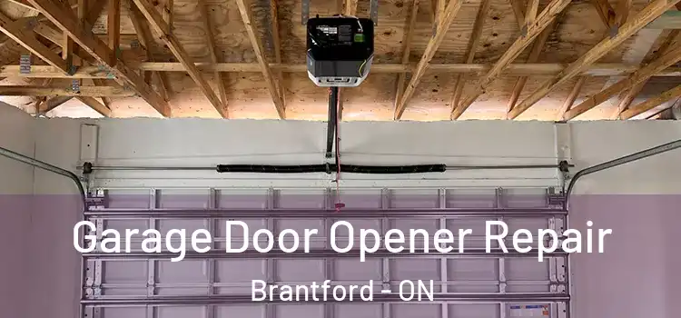  Garage Door Opener Repair Brantford - ON