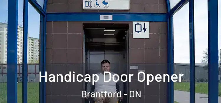  Handicap Door Opener Brantford - ON