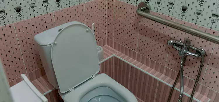 Meeting Diverse Needs With Accessible Restroom Solutions in Brantford, ON