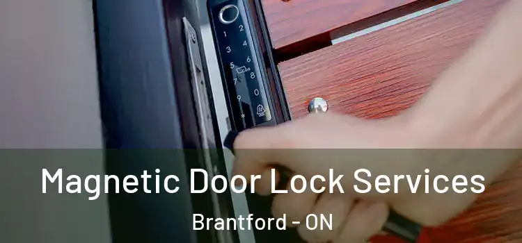 Magnetic Door Lock Services Brantford - ON